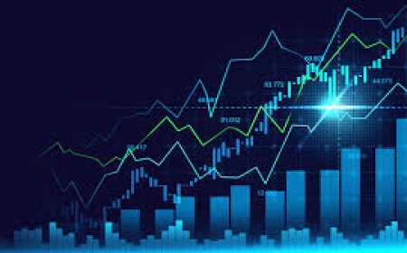 Fraud company G.C.Forex